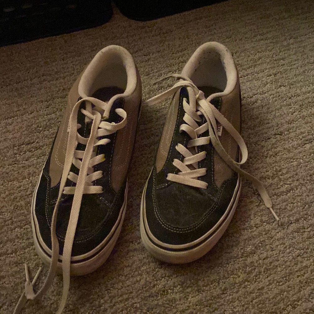 Vans Ankle Skate Shoes